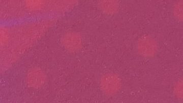 Sofía Vergara en el estreno de "America's Got Talent" temporada 17.