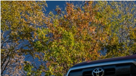 Toyota Tundra