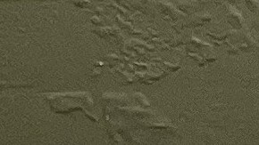 El Sheriff del Condado de Ventura presentó la droga y el dinero incautado en el operativo.