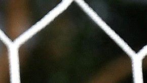 Vlatko Andonovski renunció a su cargo como DT de Estados Unidos.