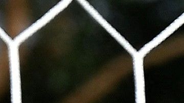 Vlatko Andonovski renunció a su cargo como DT de Estados Unidos.