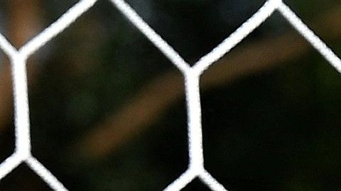 Vlatko Andonovski renunció a su cargo como DT de Estados Unidos.