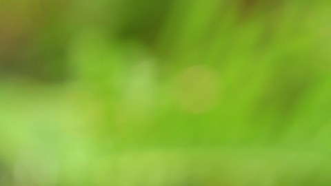 Cuánta cantidad de agua debes beber: expertos opinan