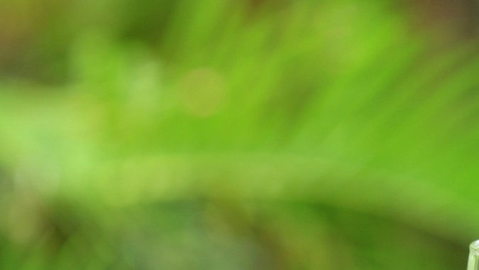 Cuánta cantidad de agua debes beber: expertos opinan