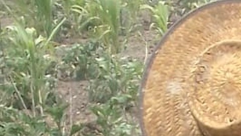 María Consuelo, una agricutora de temporal en Puebla que padece de la falta de lluvias.