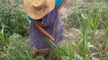 María Consuelo, una agricutora de temporal en Puebla que padece de la falta de lluvias.