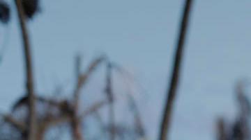 Sobrevivientes de Maui tratan de recomponerse a la tragedia en medio del descontento y la incertidumbre