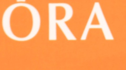 Beyoncé omitió el nombre de Lizzo en una canción durante concierto.