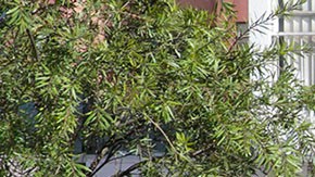 Coche bomba en Ecuador