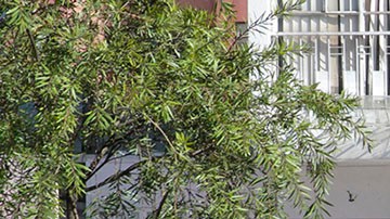 Coche bomba en Ecuador