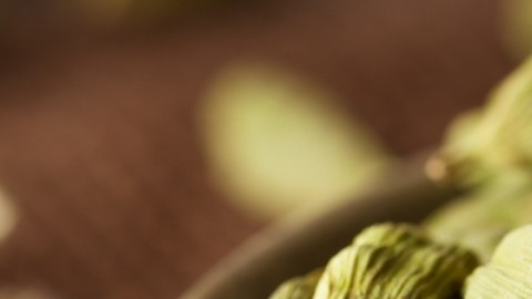Conoce los beneficios y propiedades del cardamomo para su salud