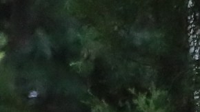 Cientos de inmigrantes acamparon precariamente en la ciudad de Danlí, en Honduras.