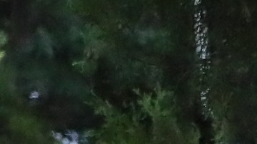 Cientos de inmigrantes acamparon precariamente en la ciudad de Danlí, en Honduras.