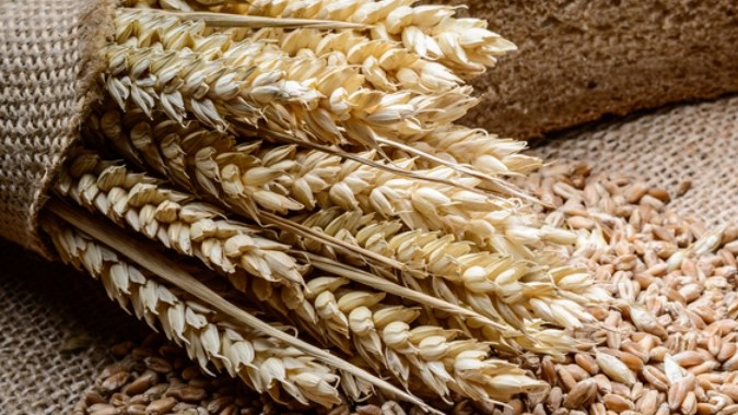 Beneficios de la cebada para tu salud y cómo agregarla a tu dieta diaria