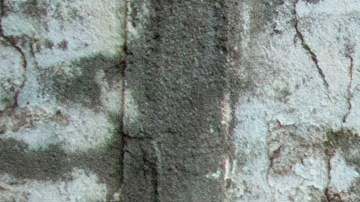 Escrito en contra de Luis Rubiales en España.