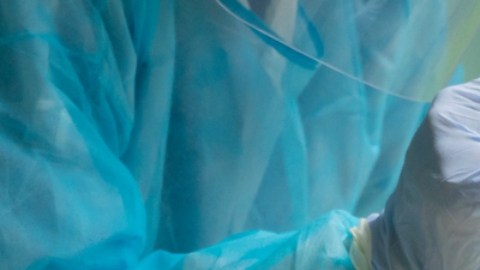 Pirola es la nueva variante de Covid: de qué se trata