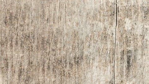 Qué es el ghee y por qué debes hacerlo parte de tu dieta
