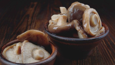 Qué hongos puedes comer y cuáles debes evitar
