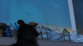 Recolectan donativos para ayudar a las víctimas de los incendios en Maui. (Cortesía)