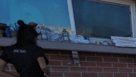 Recolectan donativos para ayudar a las víctimas de los incendios en Maui. (Cortesía)