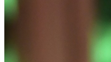 Cristian coreó las canciones de Luis Miguel en su último concierto en Buenos Aires, Argentina.