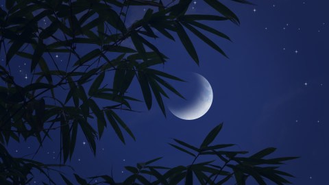 La luna menguante de agosto augura buena suerte en el dinero para 5 signos.