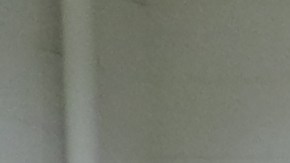 Basquetbolistas del equipo "Los Lobos", campeones de la Copa Oaxaca 2023.