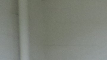 Basquetbolistas del equipo "Los Lobos", campeones de la Copa Oaxaca 2023.