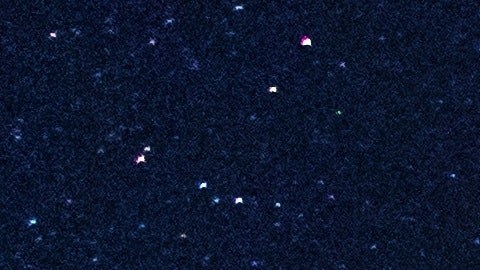 El portal del león se abre el día 8 del mes 8 y tiene un significado espiritual especial.