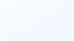 Retiran comida congelada para gatos luego de que uno muriera por ccontaminación con gripe aviar