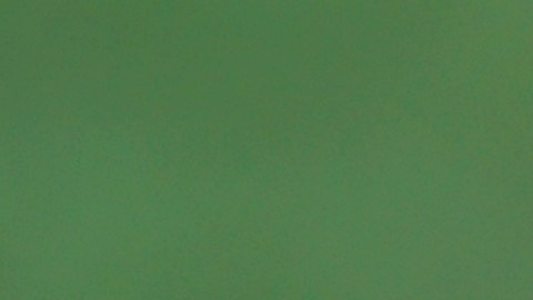 Las energías de algunos signos del horóscopo chino contrastan e impiden llevarse bien.