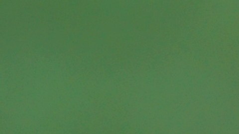 Las energías de algunos signos del horóscopo chino contrastan e impiden llevarse bien.