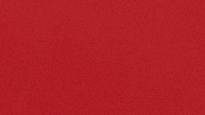 Pago directo de SNAP será enviado esta semana a Nueva York