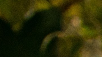 Tasas hipotecarias