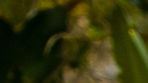 Tasas hipotecarias