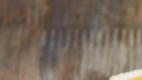 Consumir alimentos ultraprocesados puede generarte depresión en el futuro, según estudio