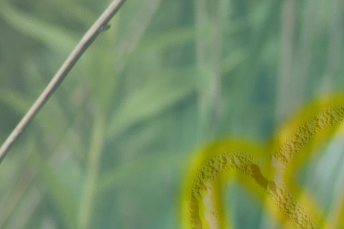 Algunos signos recibirán las buenas energías de Virgo y Mhoni Vidente nos dice cuáles son.