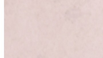 Feid cada vez dan más señales de estar muy enamorados.