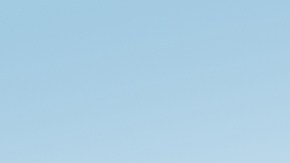 Yellow Trucking cerrará sus operaciones en los próximos meses tras declararse en bancarrota