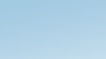 Yellow Trucking cerrará sus operaciones en los próximos meses tras declararse en bancarrota