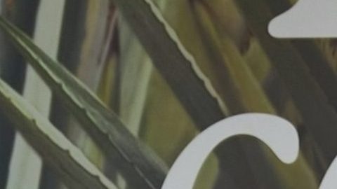 Irina Baeva confiesa por qué no se ha hecho mexicana | Mezcalent.