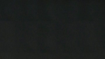 Francisca luciendo su pancita en 'Despierta América'.