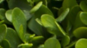 Clarissa Molina en la celebración de los 25 años de 'El Gordo y La Flaca'.