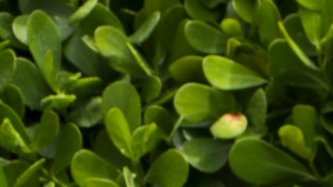 Clarissa Molina en la celebración de los 25 años de 'El Gordo y La Flaca'.