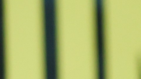 Jaime Munguía y Óscar de la Hoya