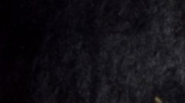 El asesinato de Tupac Shakur ocurrió en septiembre de 1996.