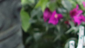 Alicia Vázquez Luna