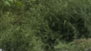 Tragedia en Guatemala: Deslizamiento de tierra deja al menos 3 muertos y 15 desaparecidos