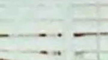 Alfredo Ballí Treviño