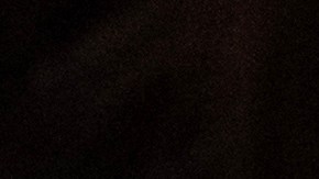 A new US citizen holds a small American flag as the national anthem is played during a US naturalization ceremony at the Los Angeles Central Library, in Los Angeles.